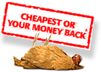 Cheapest Car Insurance
