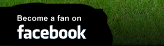 Become a fan on swiftcover's facebook group