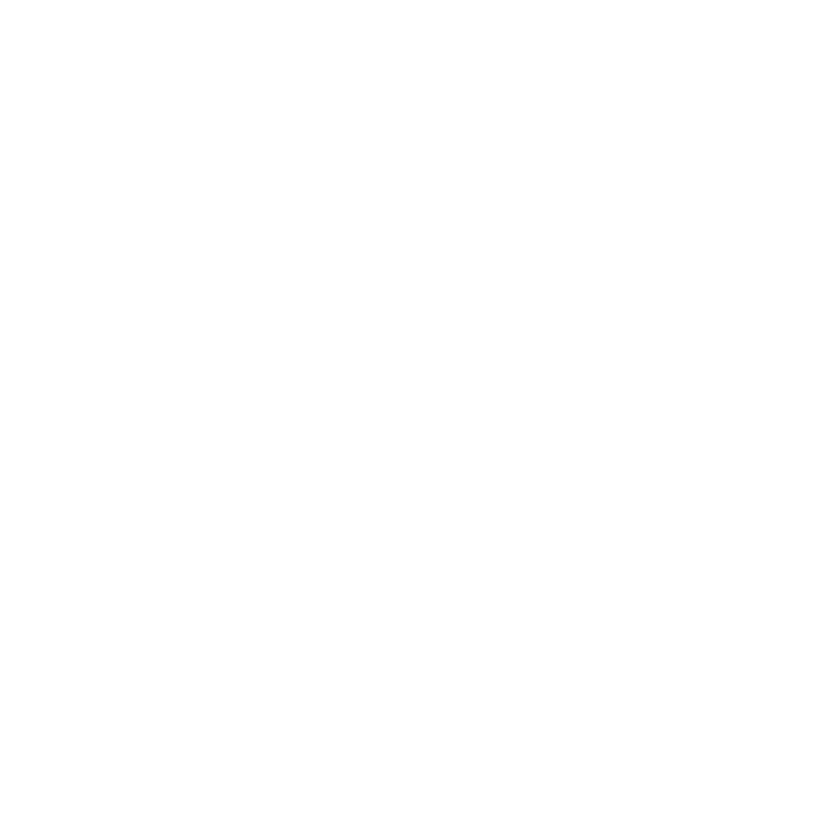 Car icon white