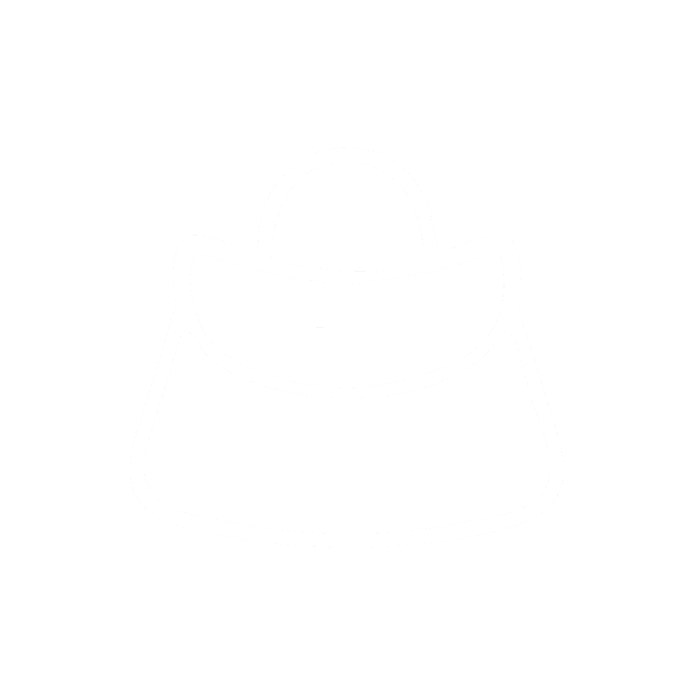 Handbag icon