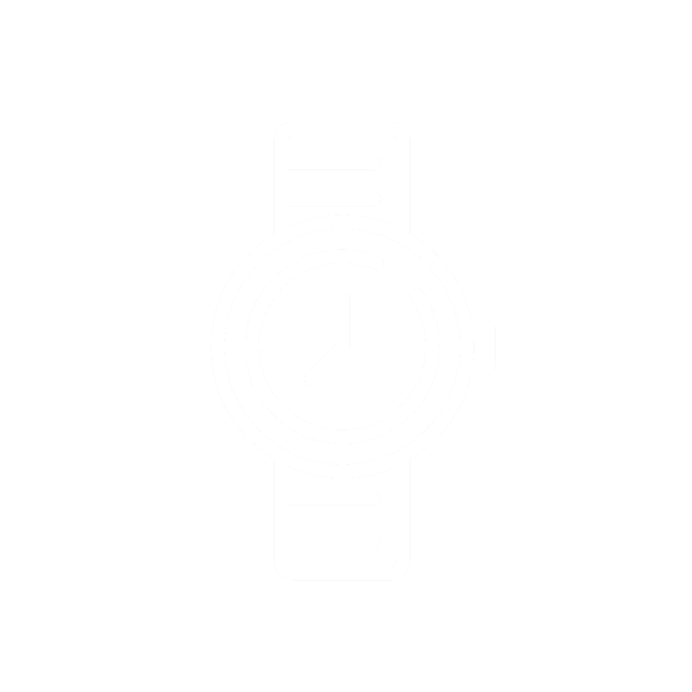 Luxury watch icon